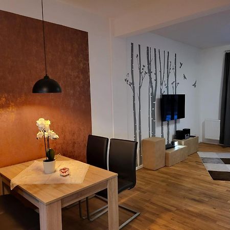 Trendige Stadtwohnung, Historisches Haus Mit Terrasse Und Garten Magdeburg Eksteriør billede